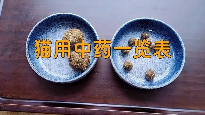 如何預防龍貓攜帶病毒？ 如何預防龍貓攜帶病毒？ 龍魚百科 第18張