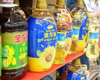 白化銀龍魚和黃化銀龍魚哪個好（白化銀龍魚與黃化銀龍魚的區別）
