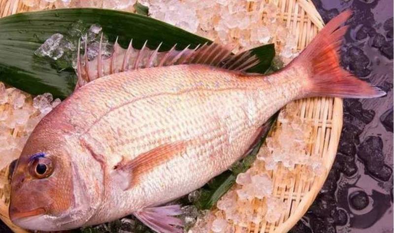 鯛魚寓意