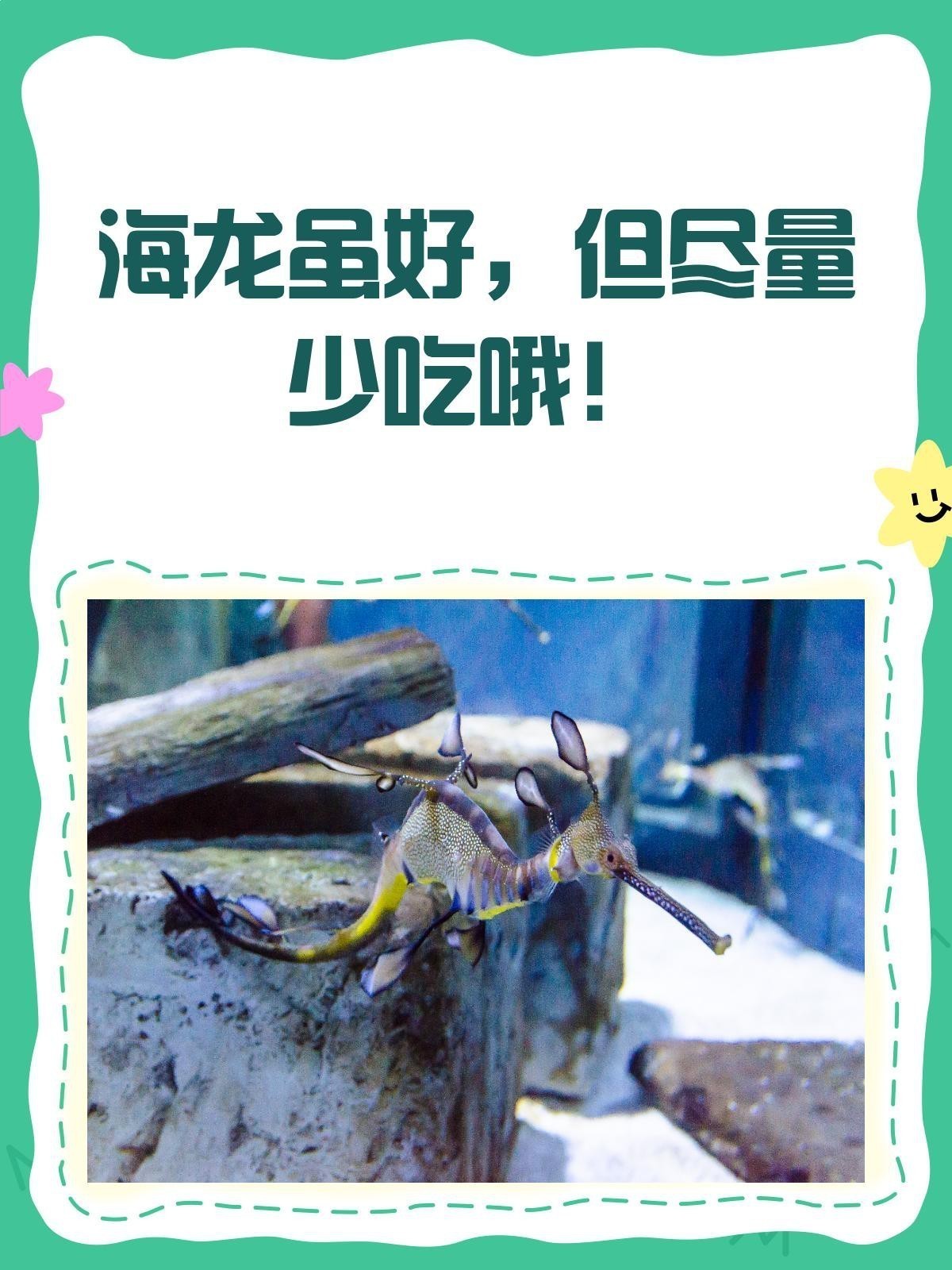 哪些人群不適合服用海龍？