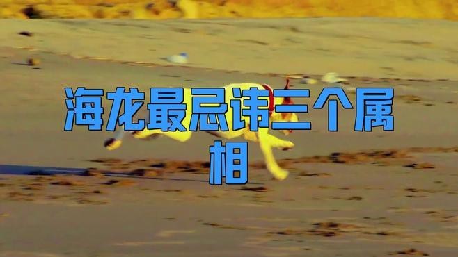 哪些人群不適合服用海龍？