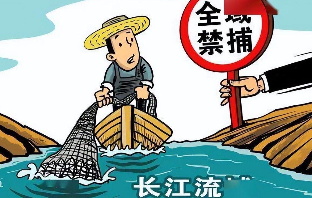 火老虎魚不能亂養