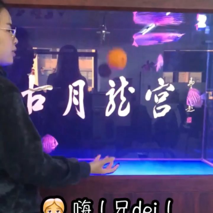 哪個品牌的龍魚染色劑效果最好？