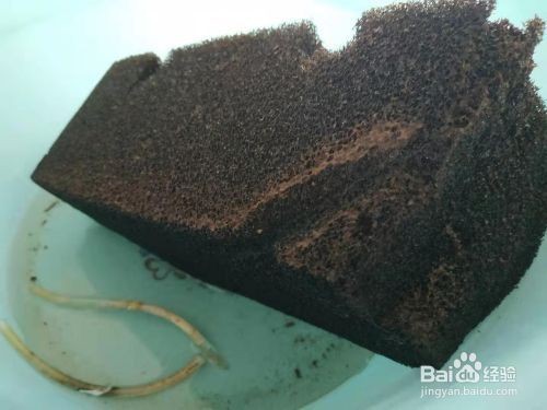 普洱市思茅區海域水族經營部（普洱市思茅區海域水族經營部電話）