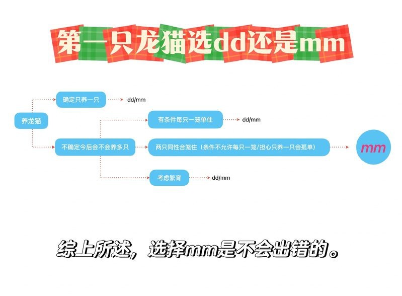 如何加速兩只龍貓的氣味融合？ 如何加速兩只龍貓的氣味融合？ 龍魚百科 第3張