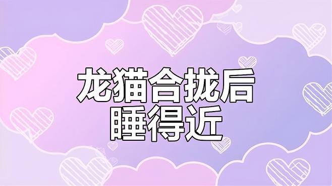 如何加速兩只龍貓的氣味融合？ 如何加速兩只龍貓的氣味融合？ 龍魚百科 第1張