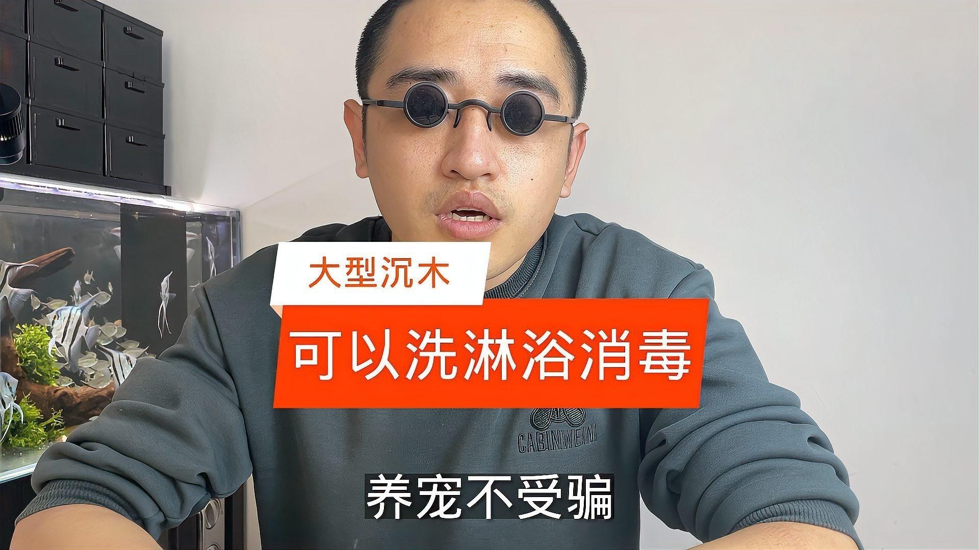 沉木消毒后多久可以放入龍魚缸？