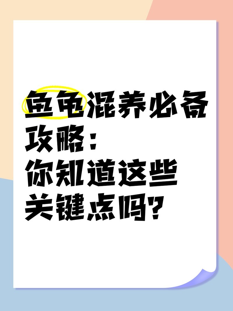 黃頭龜和雷龍魚混養(yǎng)