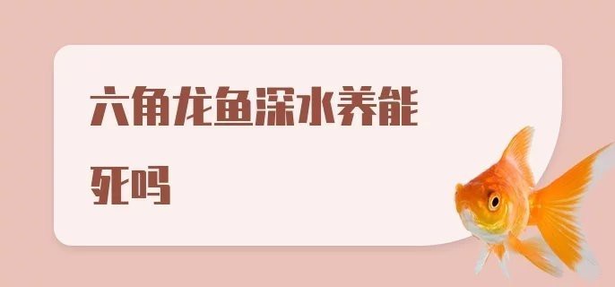 六角龍魚可以在深水養嗎