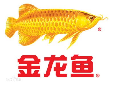 小銀龍魚怎么養及喂養技巧圖解大全視頻：小銀龍魚喂什么最好