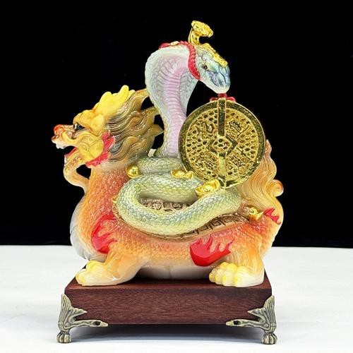 有沒有鎮宅龍龜擺放的圖片參考？ 有沒有鎮宅龍龜擺放的圖片參考？ 龍魚論壇 第19張