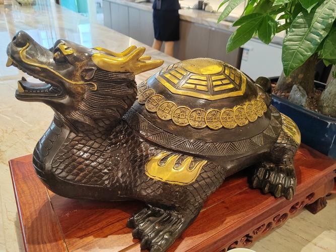 有沒有鎮宅龍龜擺放的圖片參考？ 有沒有鎮宅龍龜擺放的圖片參考？ 龍魚論壇 第24張