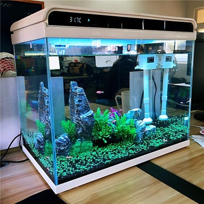 彩蝶魚缸生產廠家地址在哪里（彩蝶魚缸生產廠家）
