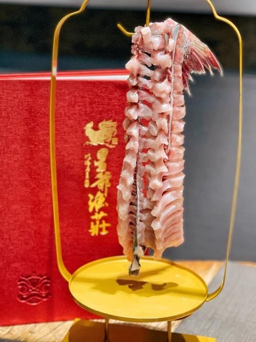 紅色大頭魚圖片