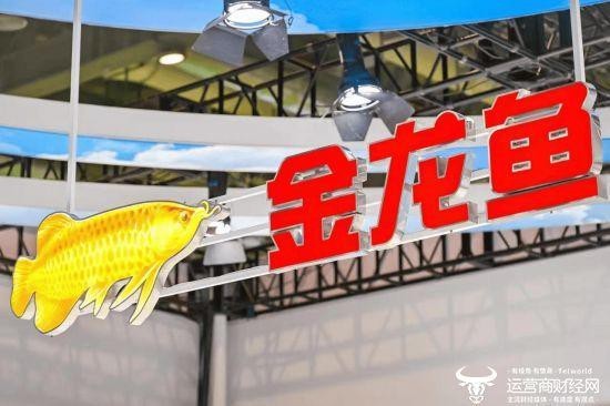 金龍魚中層管理年薪