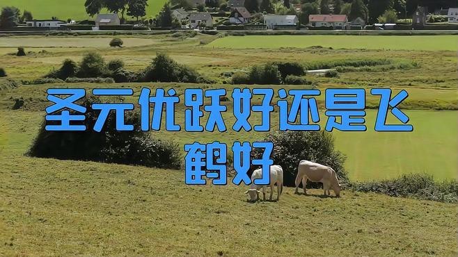 圣元奶粉好點還是飛鶴