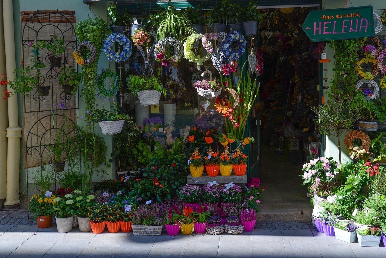 曲阜市彩鰈水族店（曲阜水族市場） 曲阜市彩鰈水族店（曲阜水族市場） 全國水族館企業(yè)名錄 第2張