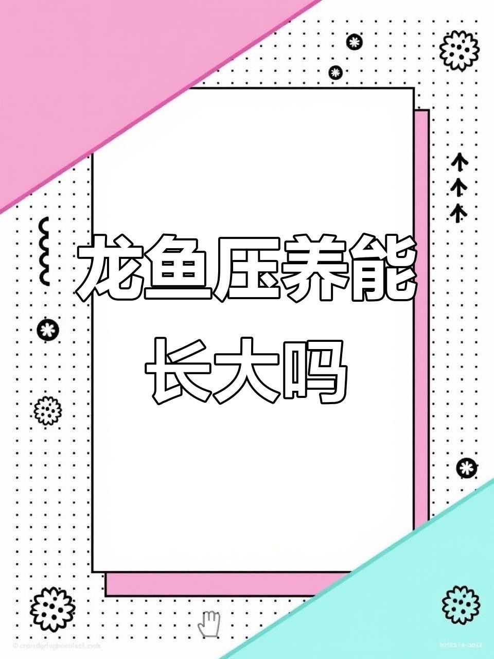 如何改善被壓養的紅龍魚？