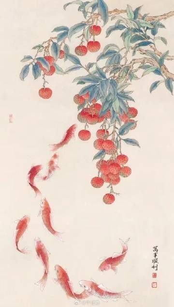 紅財神魚最忌諱三個東西