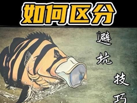 虎魚有品相嗎