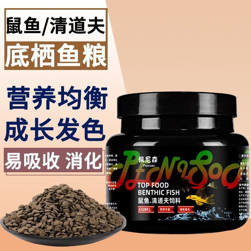 胡子大帆魚最愛吃什么 胡子大帆魚最愛吃什么 龍魚論壇 第5張