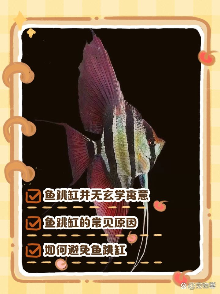 魚跳缸是福還是禍 魚跳缸是福還是禍 龍魚論壇 第7張