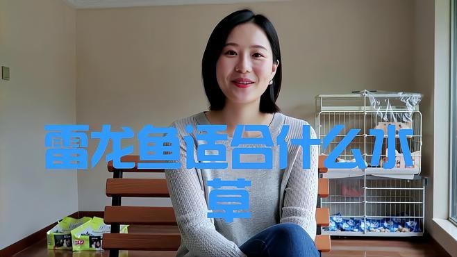龍魚缸放什么水草最好