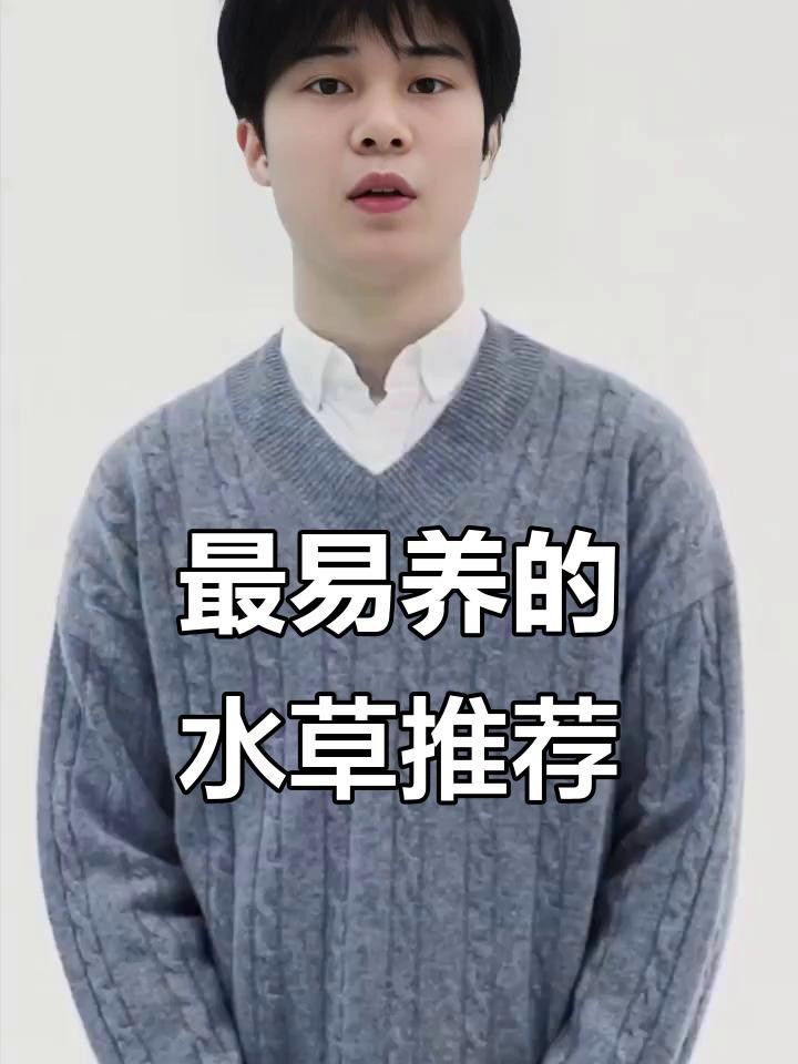 龍魚缸放什么水草最好