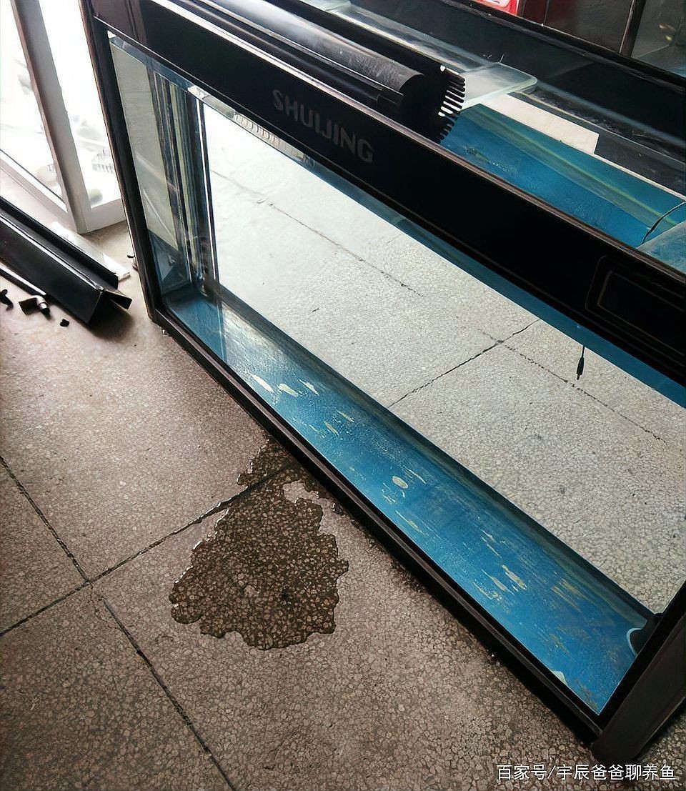 附近上門維修魚缸
