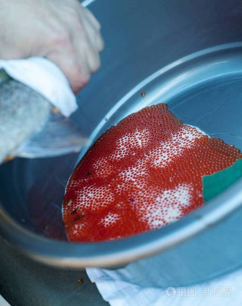 麗江龍魚(yú)的卵長(zhǎng)什么樣