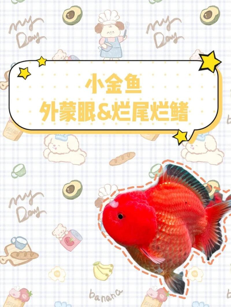 龍魚蒙眼專用藥魚藥