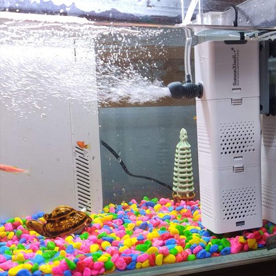 北京卓太中龍水族商貿有限公司（北京卓太中龍水族商貿有限公司怎么樣）