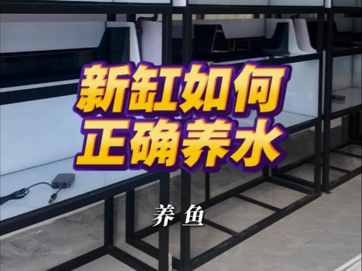 龍魚缸開缸時需要放鹽嗎？