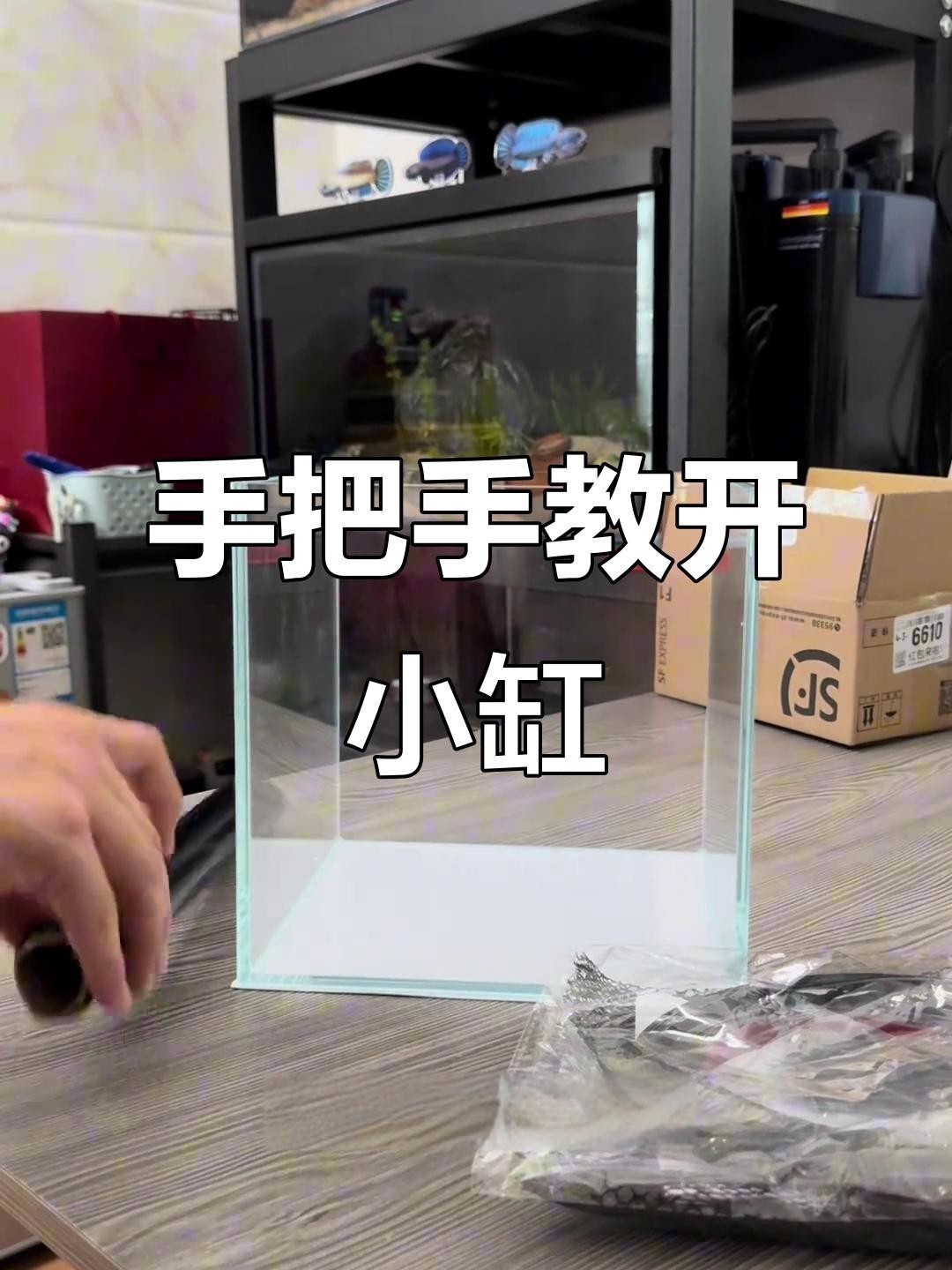 龍魚趴缸癥狀對照表，如何判斷龍魚趴缸是否嚴重？