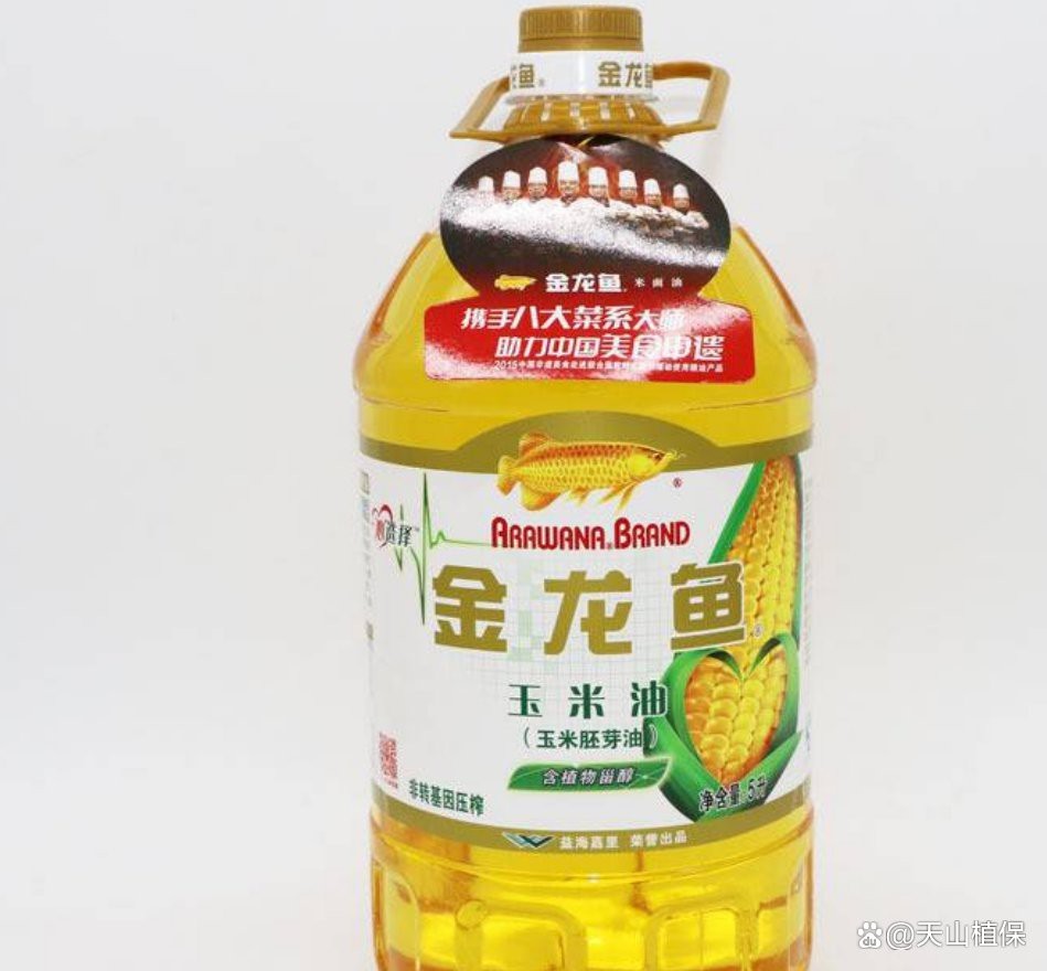 金龍魚玉米油安全嗎 金龍魚玉米油安全嗎 龍魚論壇 第1張