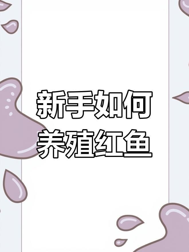 皇冠黑白魟魚好養嗎