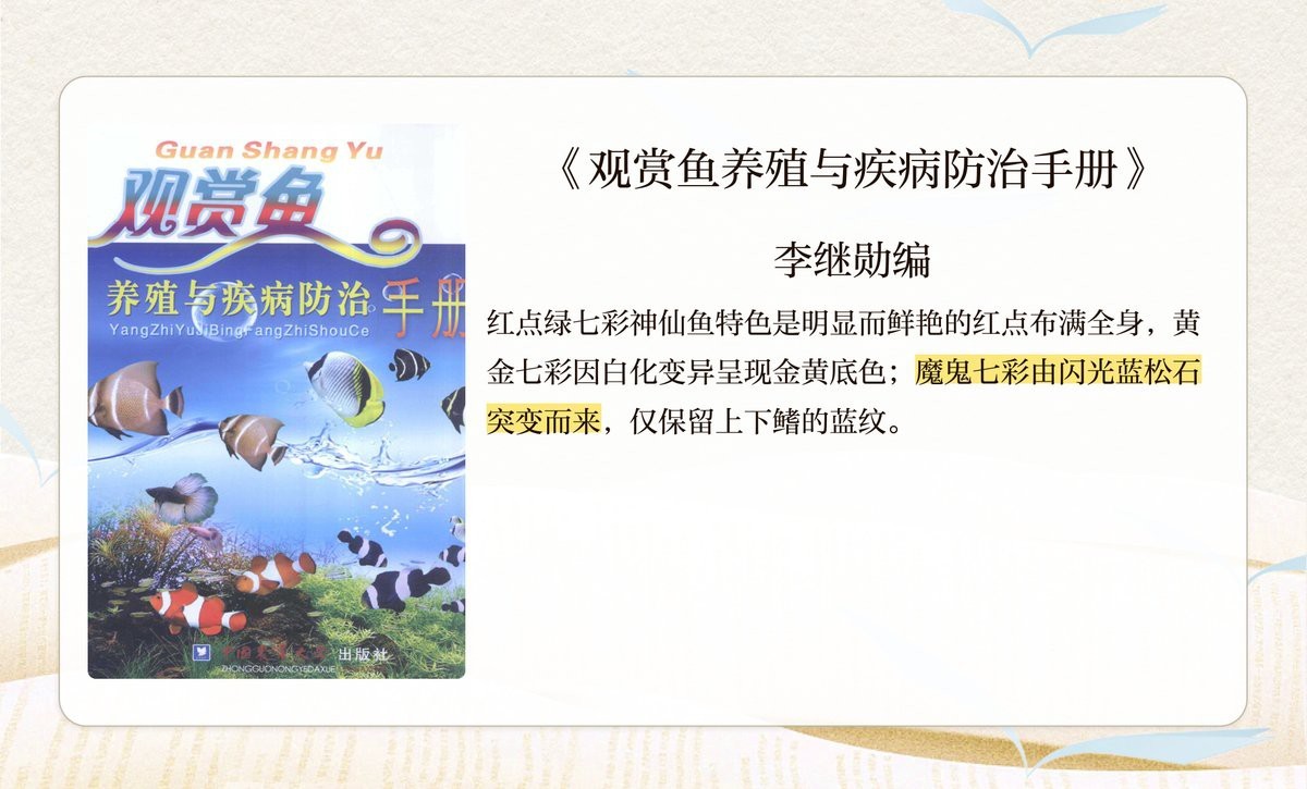 七彩神仙魚德松分幾種