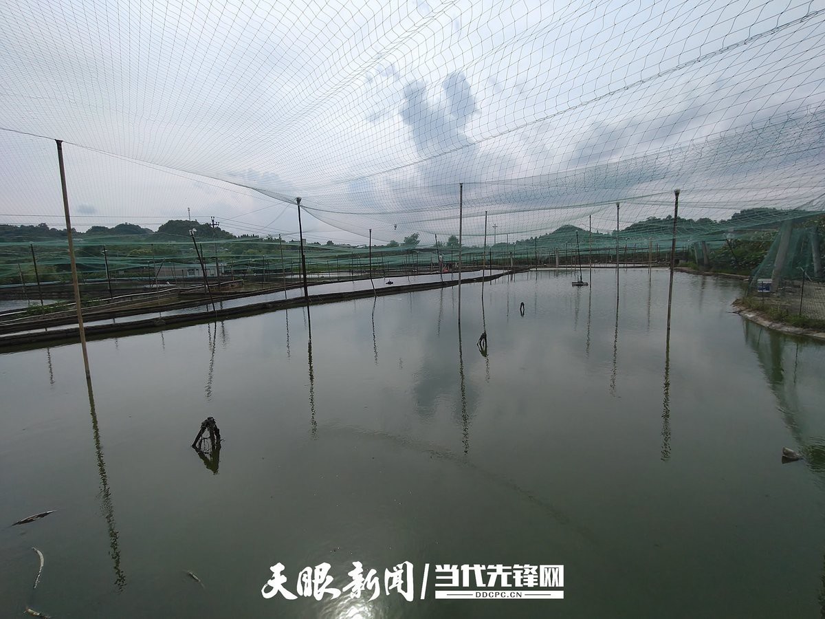 附近的觀賞魚養(yǎng)殖基地