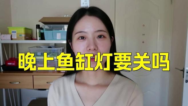 魚缸開燈的6大忌