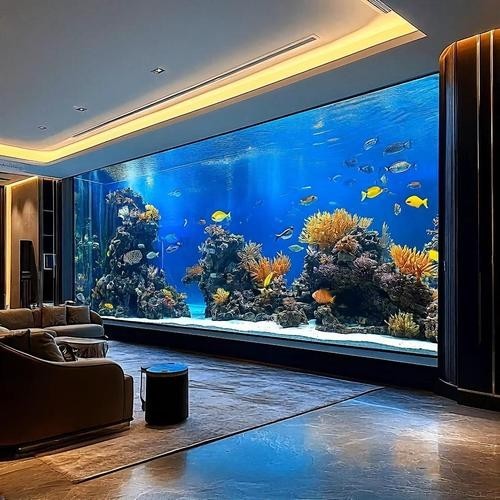 龍魚和貓一起養(yǎng)需要注意什么？ 龍魚和貓一起養(yǎng)需要注意什么？ 龍魚百科 第8張