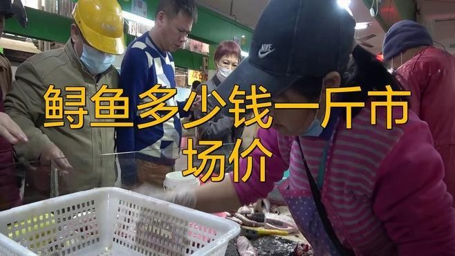 鱘龍魚價格一斤多少錢啊