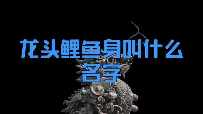 龍頭魚(yú)身在哪些文化中常見(jiàn)？ 龍頭魚(yú)身在哪些文化中常見(jiàn)？ 龍魚(yú)百科 第2張