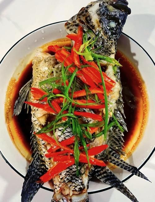 花斑魚圖片 龍魚論壇 第8張 花斑魚圖片 花斑魚圖片 龍魚論壇 第8張