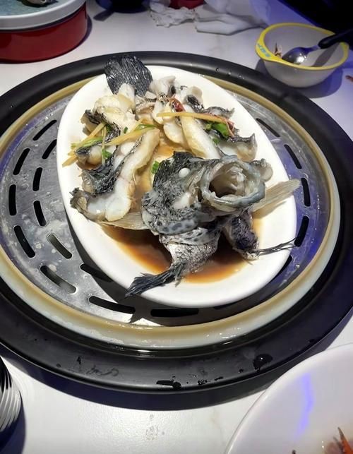 花斑魚圖片 龍魚論壇 第15張 花斑魚圖片 花斑魚圖片 龍魚論壇 第15張