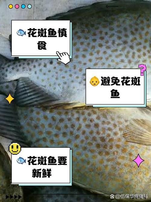 花斑魚圖片 龍魚論壇 第22張 花斑魚圖片 花斑魚圖片 龍魚論壇 第22張