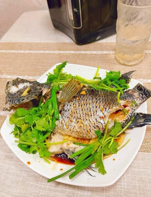 花斑魚圖片 龍魚論壇 第18張 花斑魚圖片 花斑魚圖片 龍魚論壇 第18張
