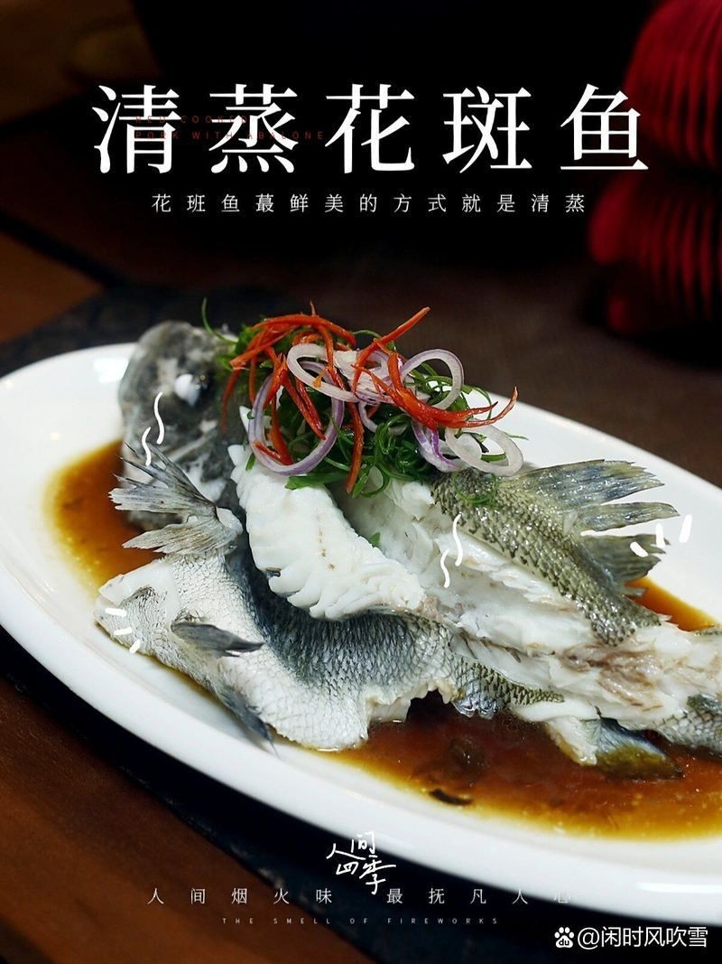 花斑魚圖片 龍魚論壇 第32張 花斑魚圖片 花斑魚圖片 龍魚論壇 第32張