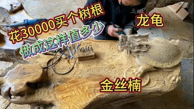 混養(yǎng)龍龜時需要注意哪些事項？
