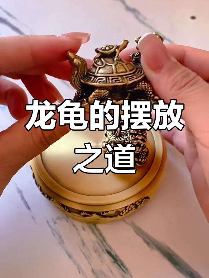 混養龍龜時需要注意哪些事項？
