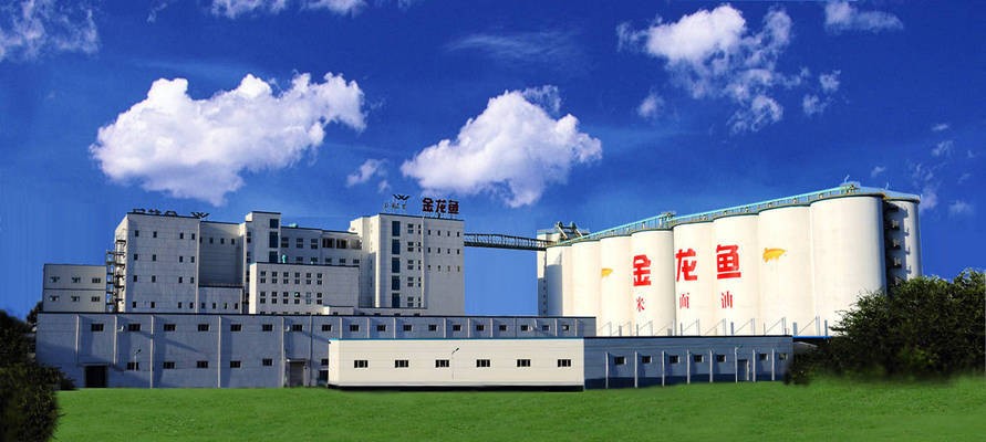 自制魚缸需要些什么材料（自制魚缸原來這么簡單） 自制魚缸需要些什么材料（自制魚缸原來這么簡單） 銀龍魚百科